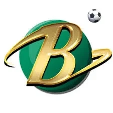 Logo bumi303